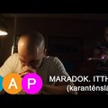 Maradok. Itthon.