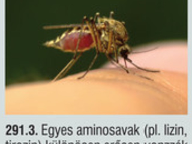 02. Aminosavak