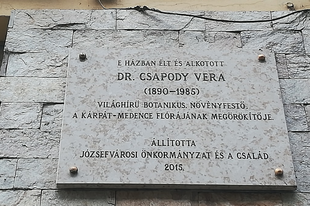 A növényillusztrátor és iskolaigazgató fizikusnő: Dr. Csapody Vera emléktáblája