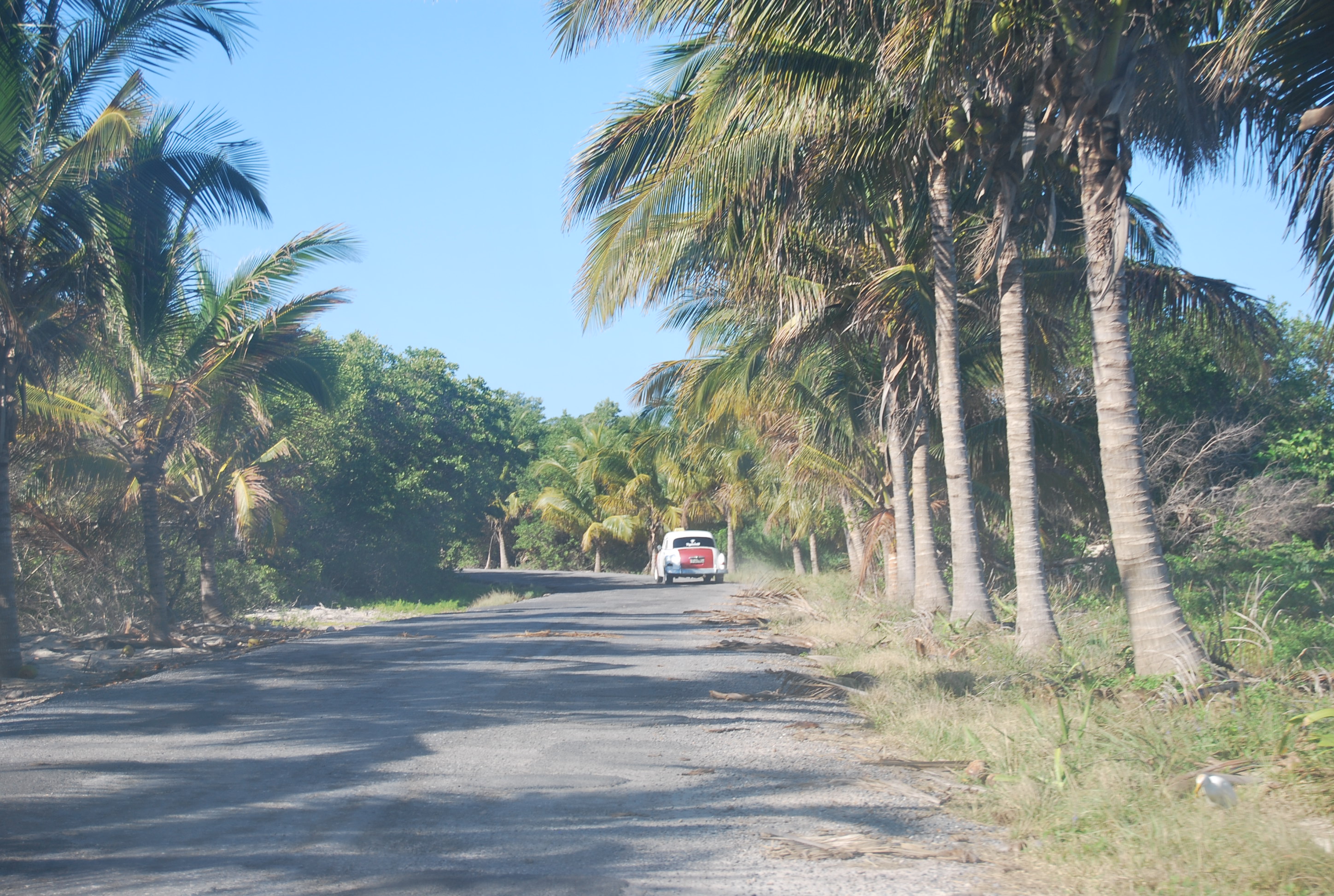 Úton a Cayo Jutias-ra