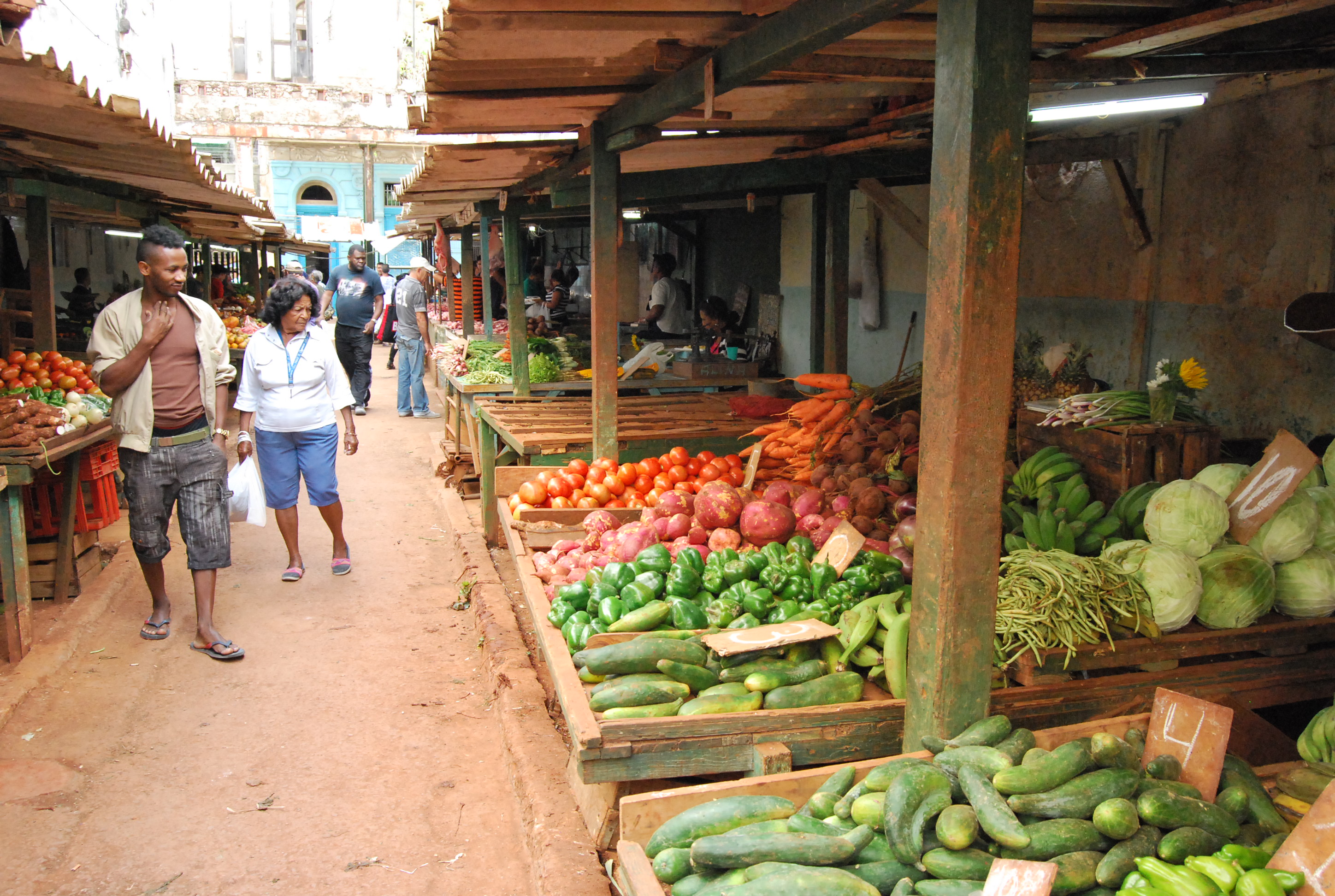 Termelői piac: zöldség / gyümölcs
