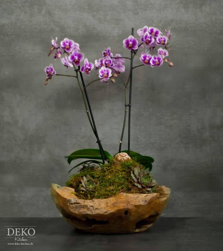 diy_orchideen-arangement_dekokitchen.jpg