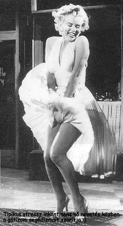 Marilyn_kisebb.jpg