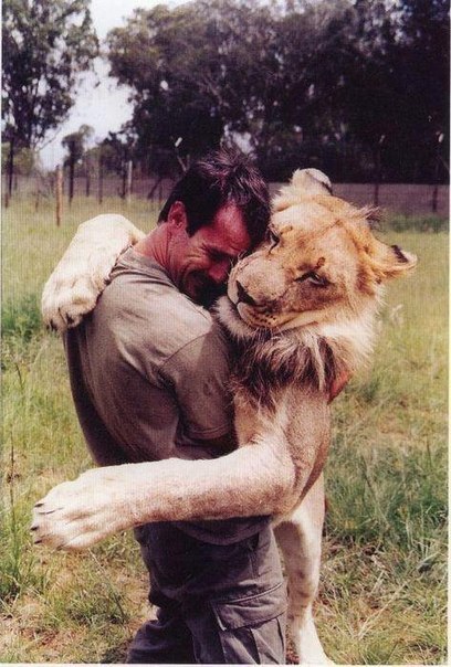 lionhug.jpg