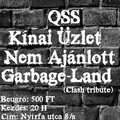 QSS koncert Pécs