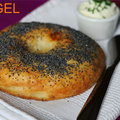 Bagel