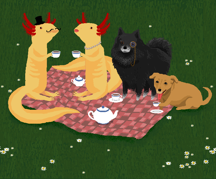 axolotl 2.png