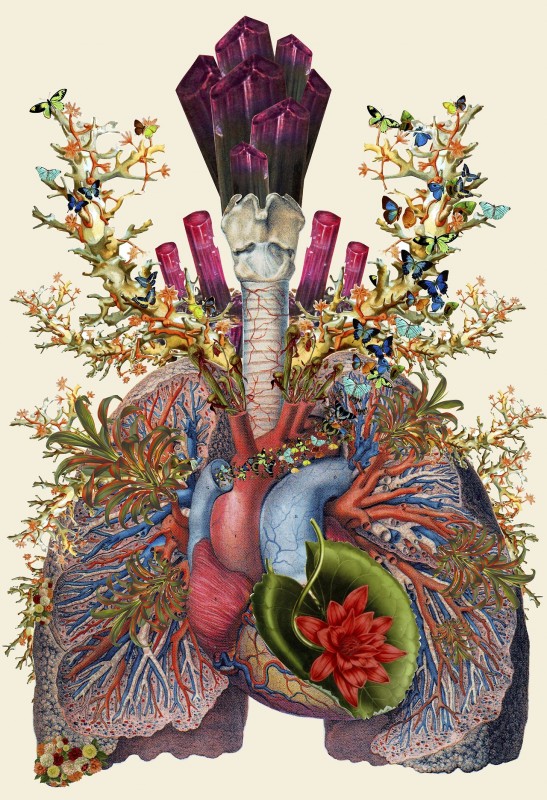 collage-illsutration-scientifique-01-547x800.jpg