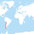 Chile a LEGjobb?