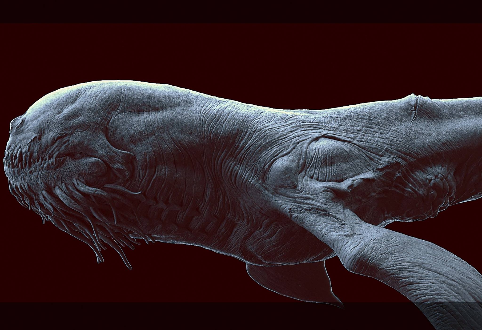 the_leviathan_creature_render_colin_thomas_02.jpg