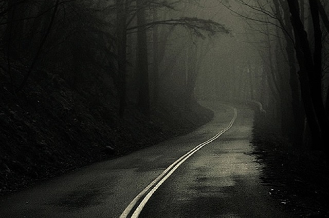 dark-road-forest-iphone-se-wallpaper-ilikewallpaper_comblogra.jpg