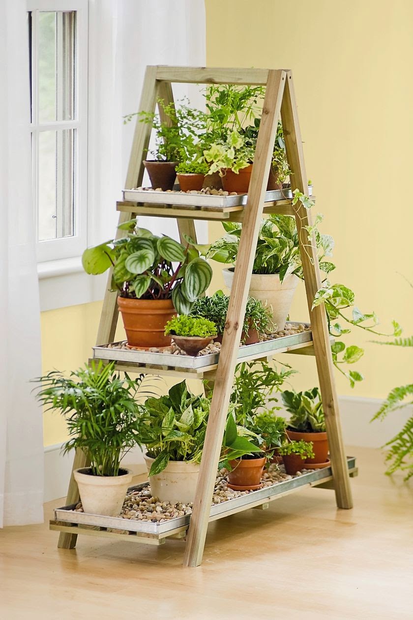 plant-stand-indoor-plant-display.jpg