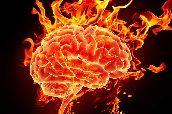 brain in flame.jpg