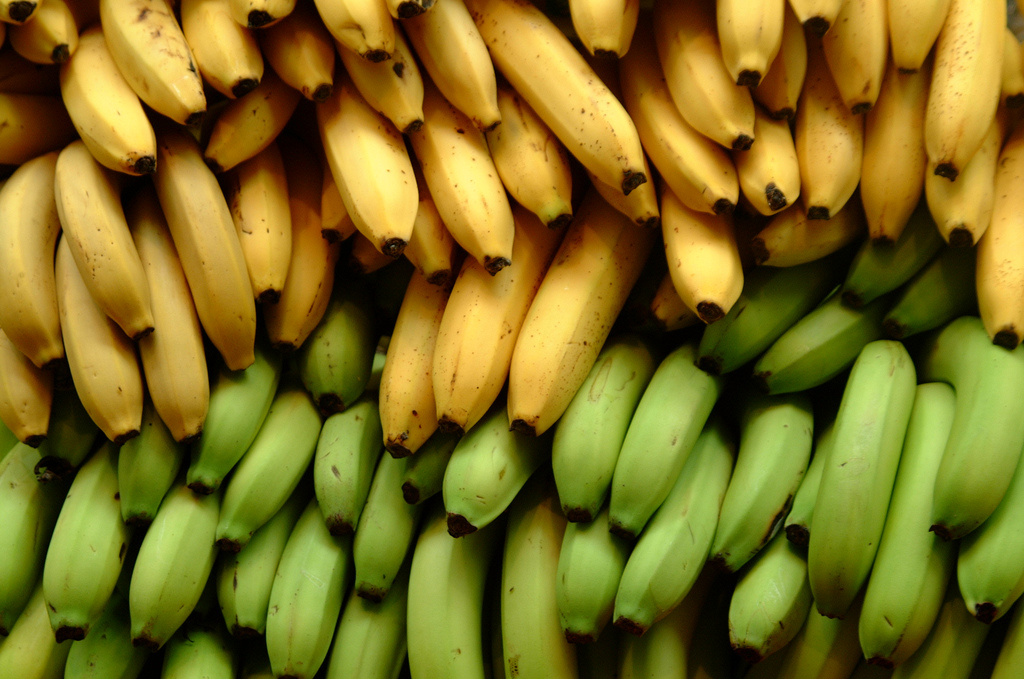 bananas_flickr_ianransley.jpg