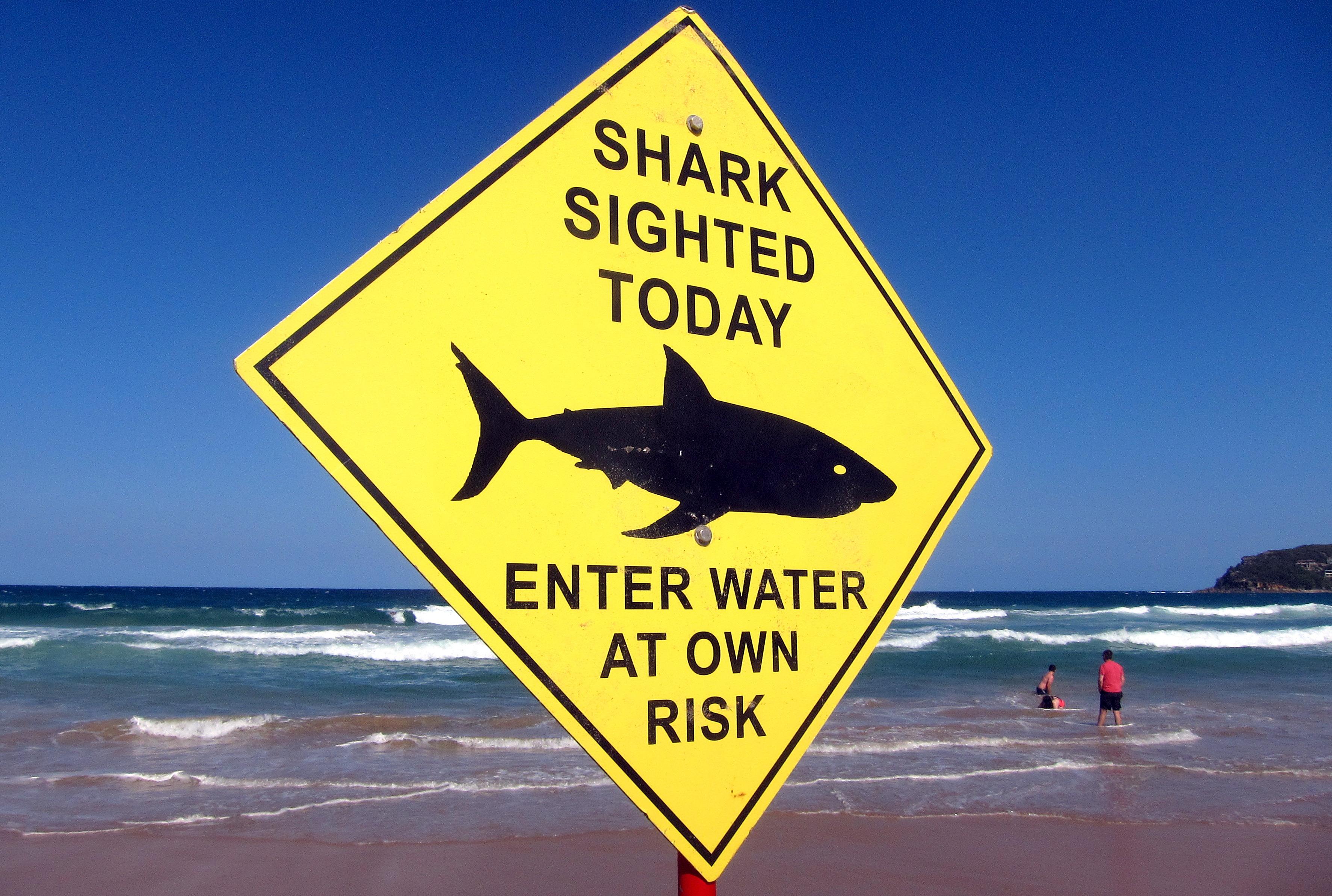 shark-warning.jpg