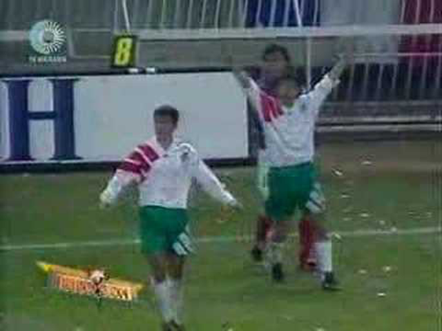 Ginola - Gera - Tímár