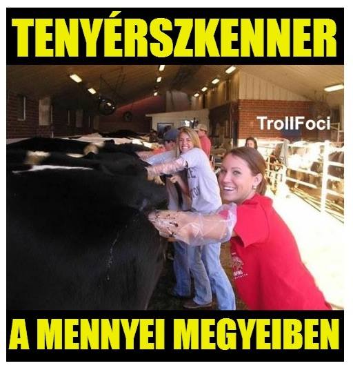 06. Tenyérszkenner.jpg