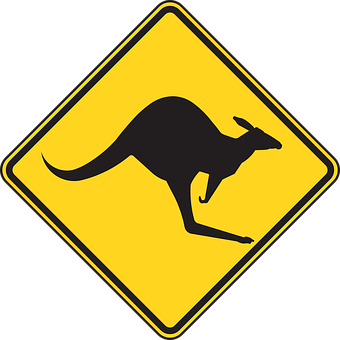 Ausztrál férfi összeverekedett egy kenguruval