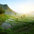 Bali: Egy kivételesen szeretetteljes vidék