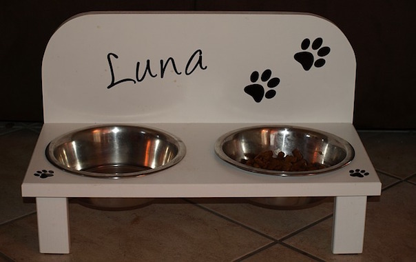 dog-bowl-429227_640.jpg