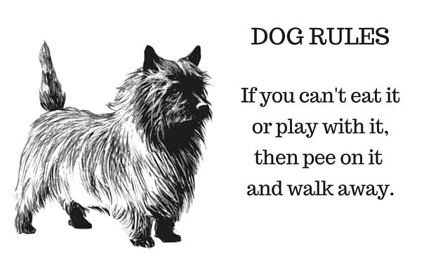 dog_rules.jpg