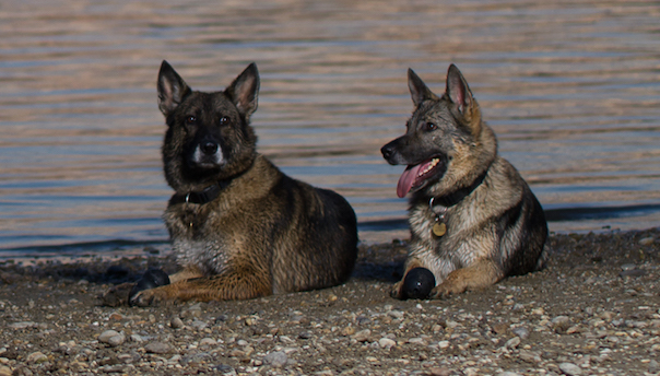 dsc_4690_2.jpg