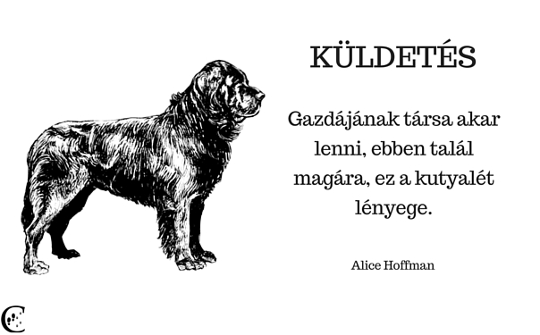 ku_ldete_s.jpg