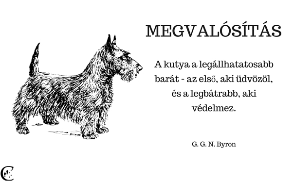 megvalo_si_ta_s.jpg