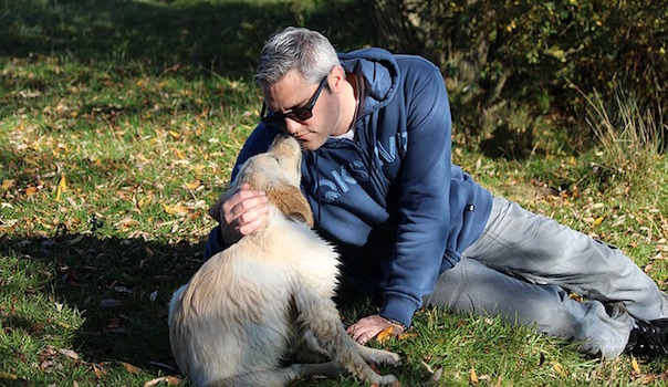 pet-1097671_640.jpg