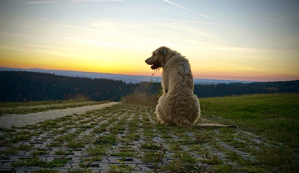 sunset-1792859_640.jpg
