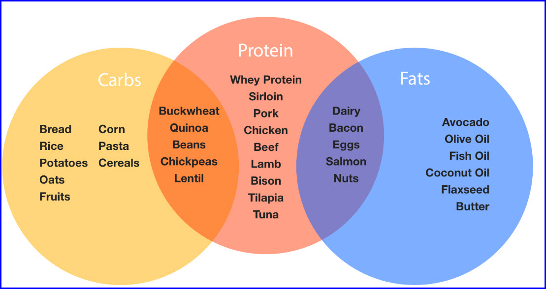 macronutrients_protein_fat_and_carbohydrates_n_2.jpg