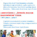 Élményszerző táborok 2013 - Dózsakert, június 24-étől