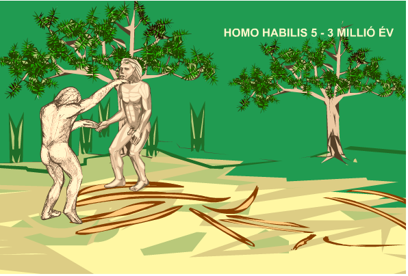 homo_habilis.png