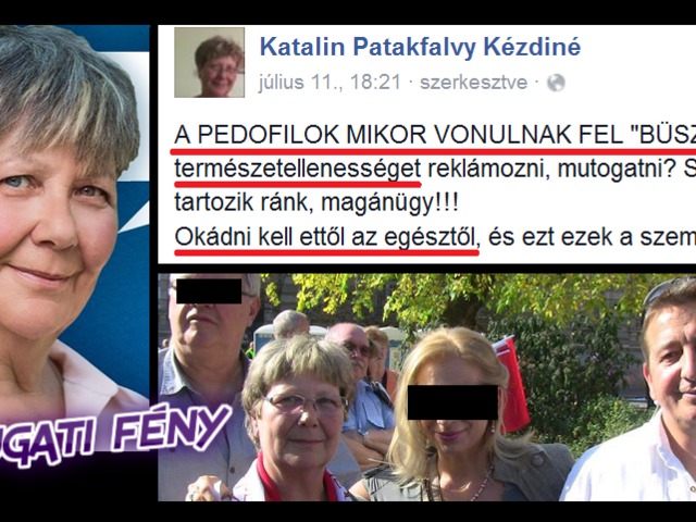 Kőkeményen buzizik a fideszes plakátnéni a valóságban