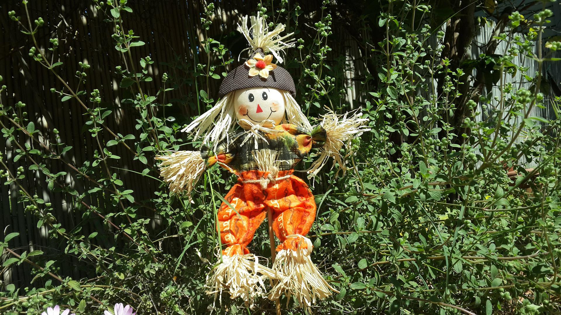 scarecrow-ge83c852ae_1920.jpg