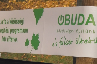 Környezetvédelmi program egy zöldebb kerületért