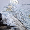 Jeges-tenger vagy Északi-sarki-óceán