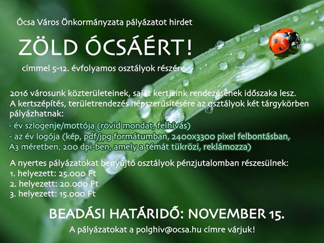 Pályázat
