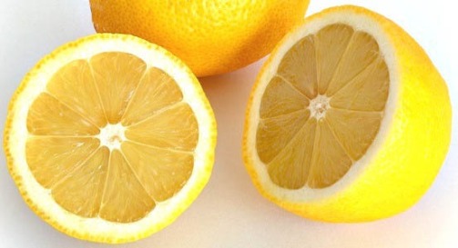 citrus_limon16.jpg