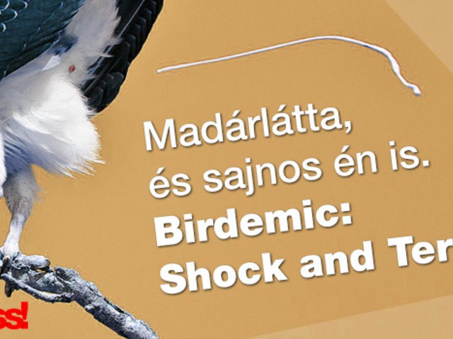 Madárlátta, és sajnos én is. Birdemic: Shock and Terror - 2010 (imdb: 1,8)