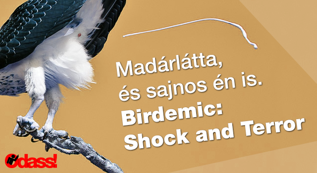 birdemic_150908.png