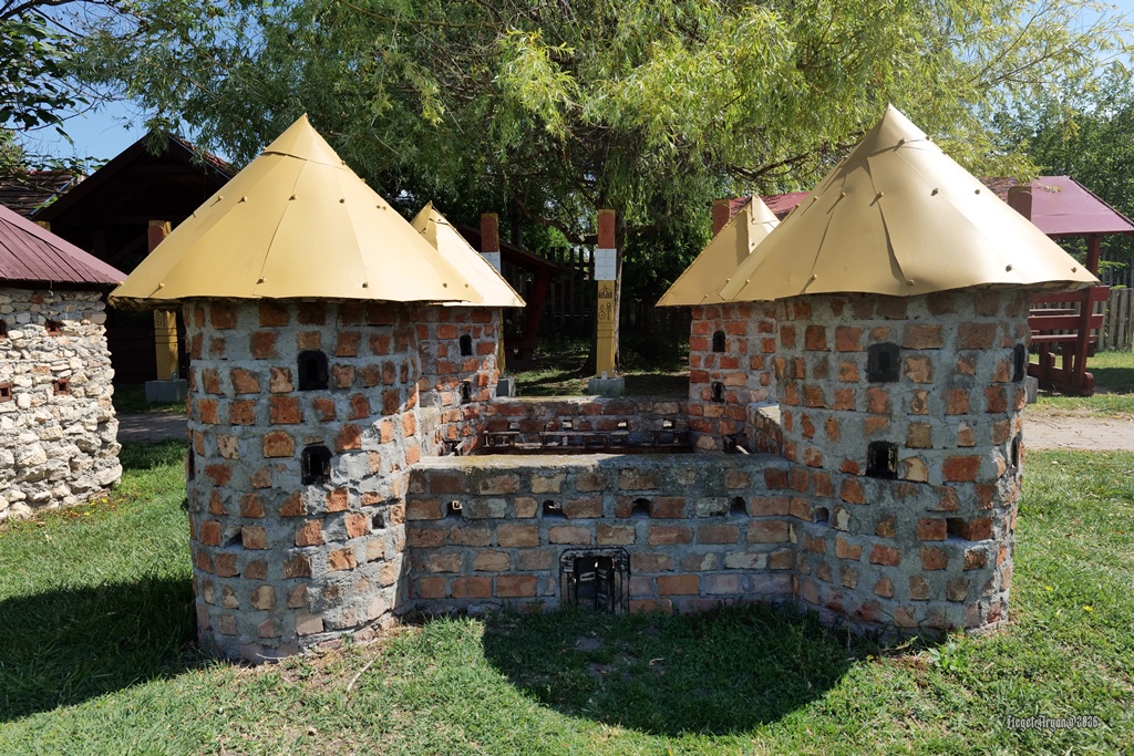p1000804abb.JPG