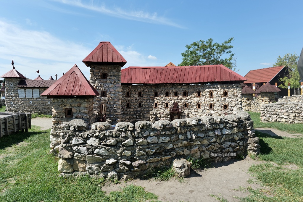p1000807bb.JPG
