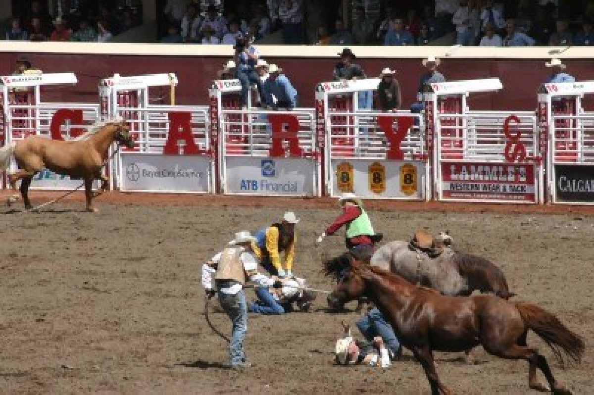11469208-calgary-canada-july-2004--wild-horse-round-up--calgary-stampede-alberta-canada.jpg