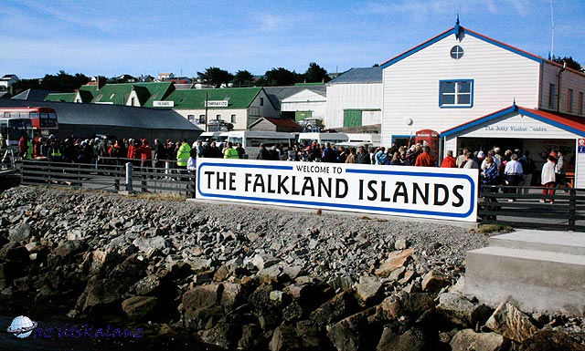 45_Falkland-FodorL.jpg