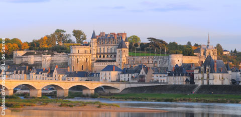 Chateau-amboise-vue-generale.jpg