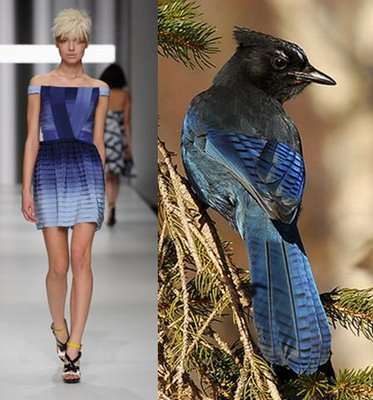 fashion-birds-exquisite-pairing-of-colors-and-styles-between-designer-and-n.jpg