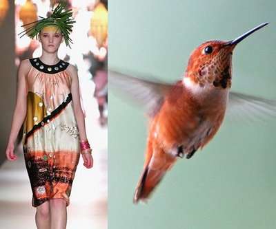 fashion-vs-birds-14.jpg