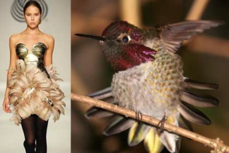 nature-inspired-fashion_bird-2.jpg