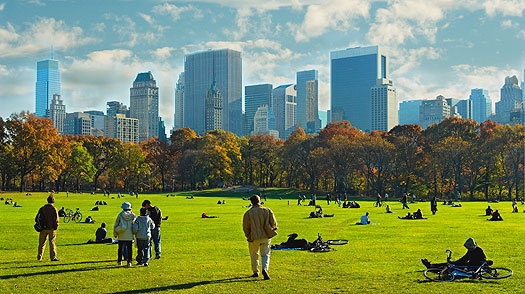 ny_central_park.jpg